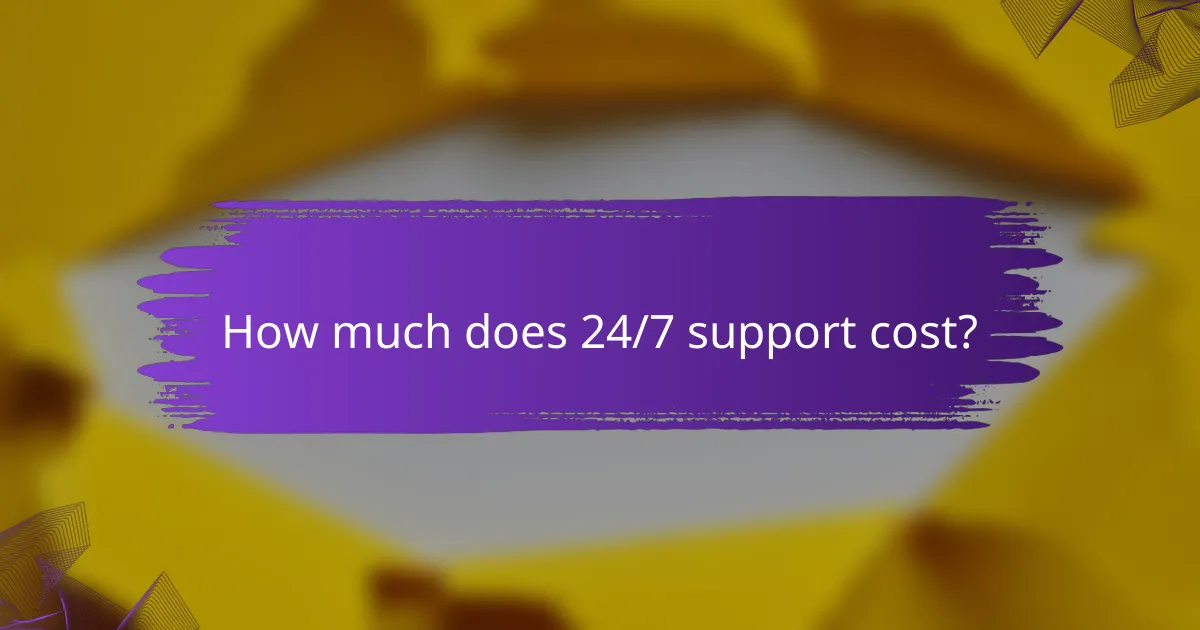 How much does 24/7 support cost?