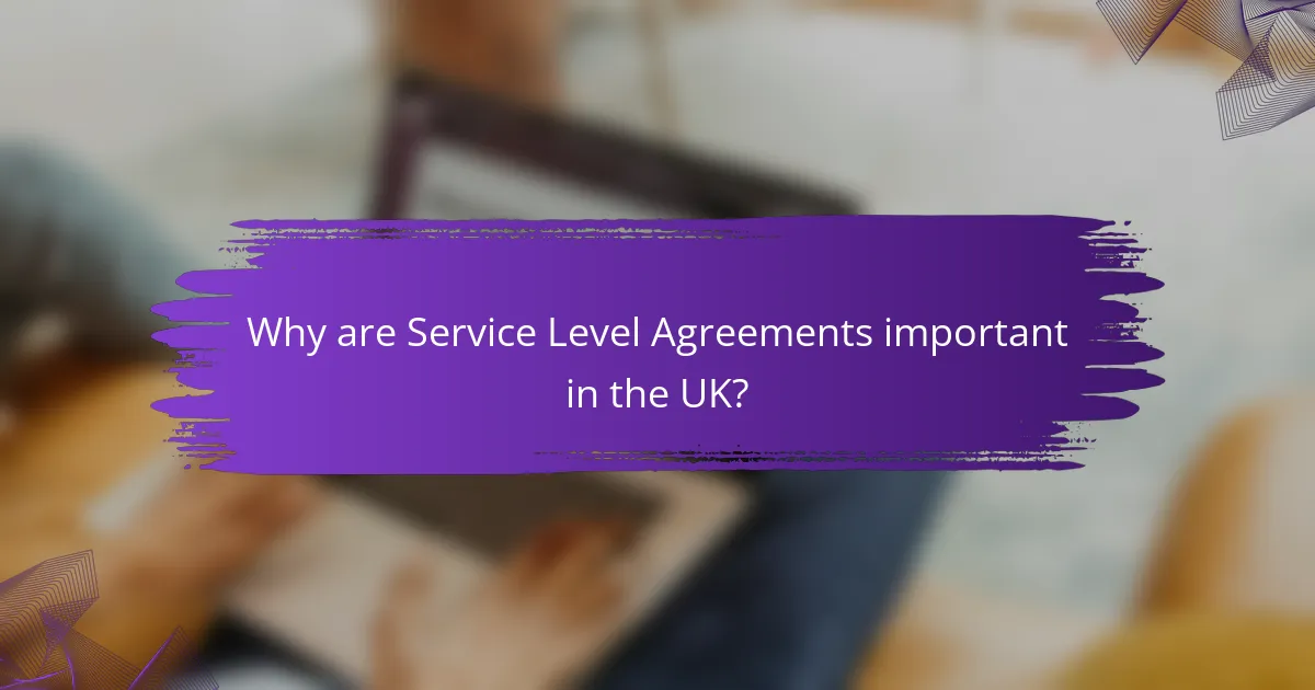 Why are Service Level Agreements important in the UK?